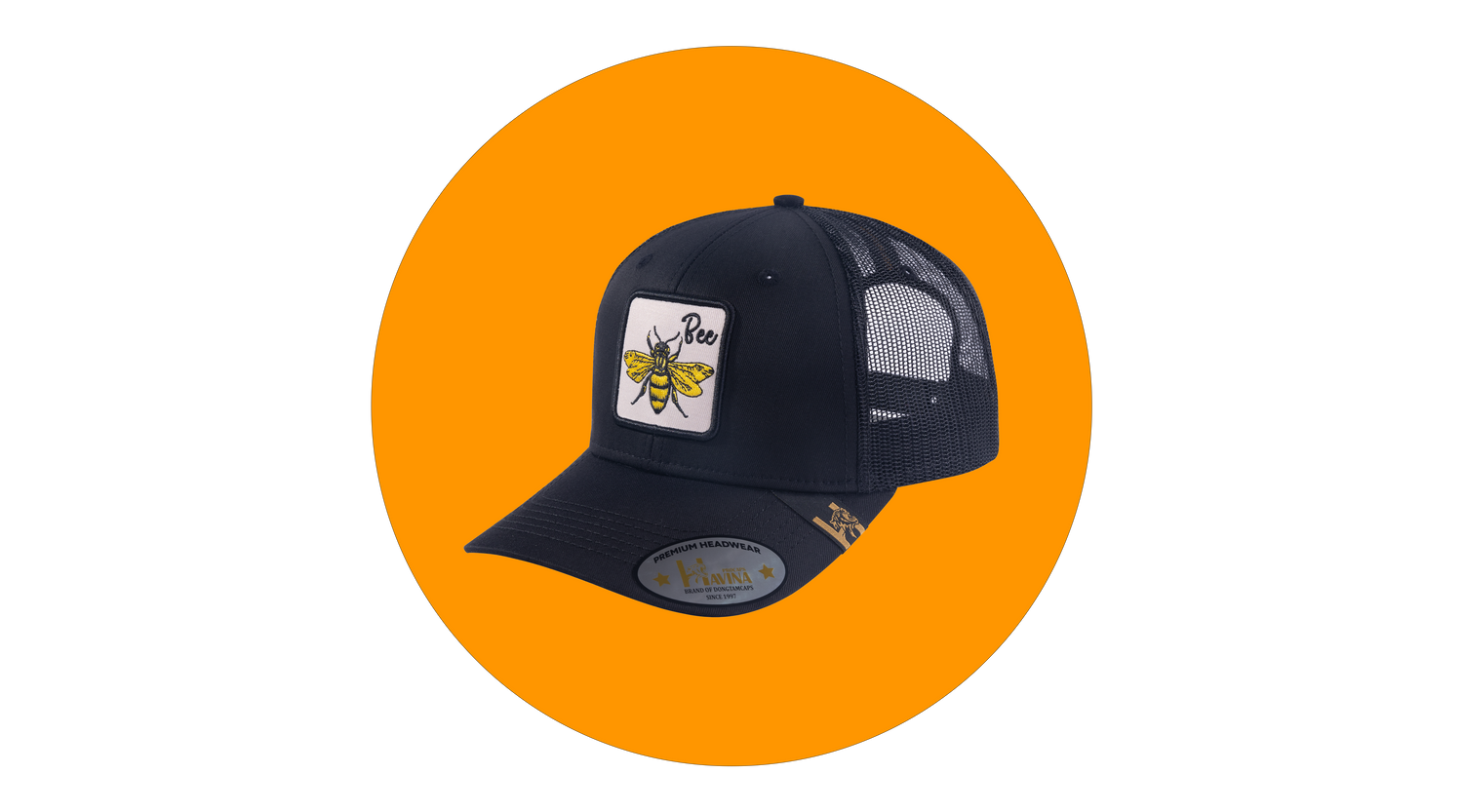 6 Panels Embroidered Hats