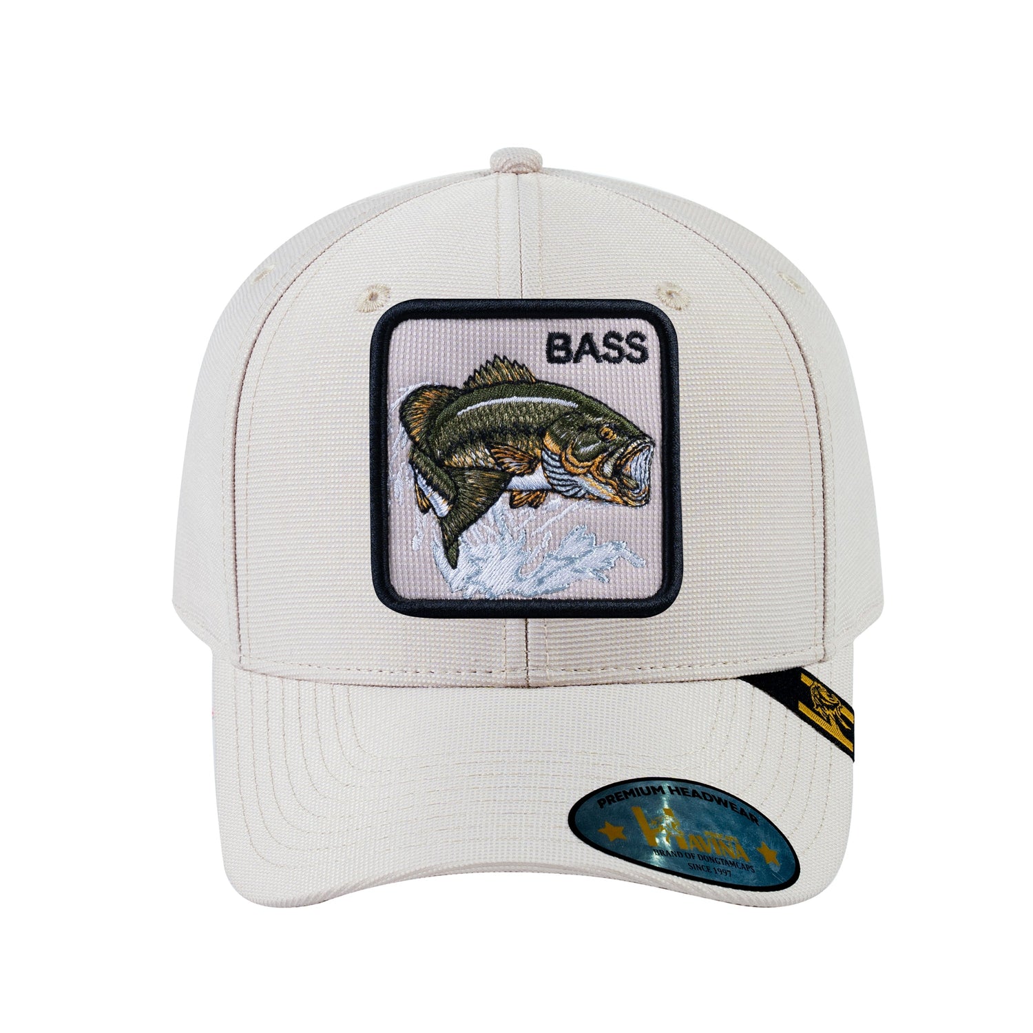The Bass Fish