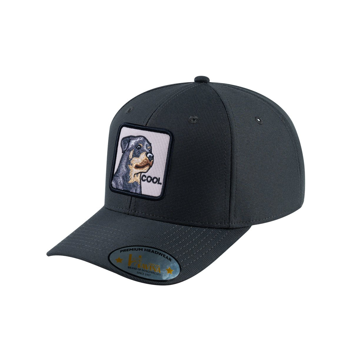 Unisex V2 Embroidered The Dog, 6-Panel Baseball Cap, Dark Grey/Dark Grey, Adjustable Fit