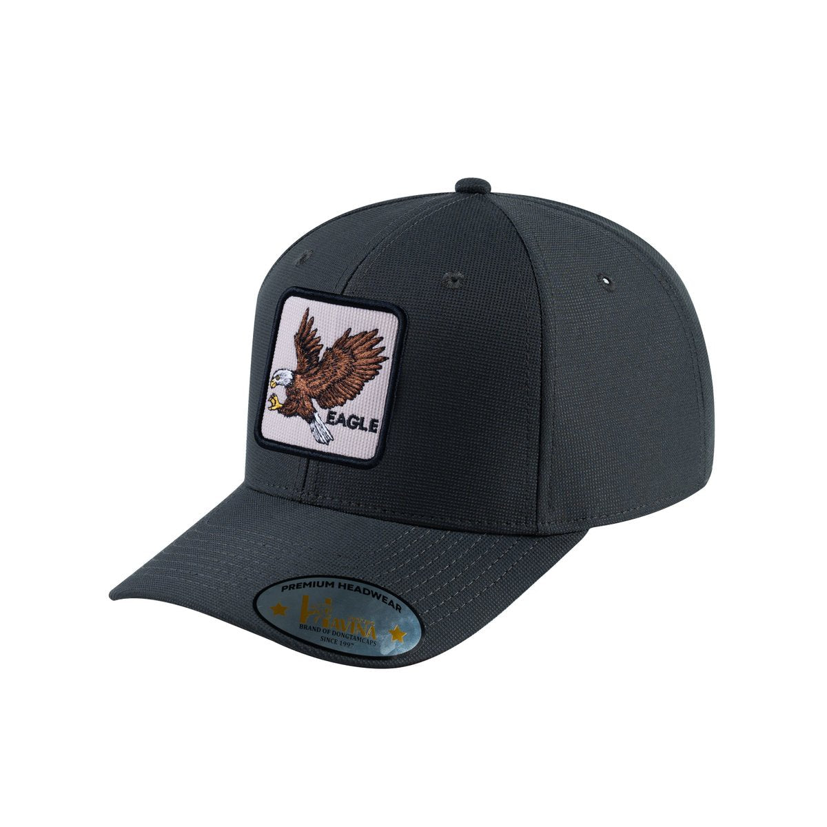 Unisex V2 Embroidered The Eagle, 6-Panel Baseball Cap, Dark Grey/Dark Grey, Adjustable Fit