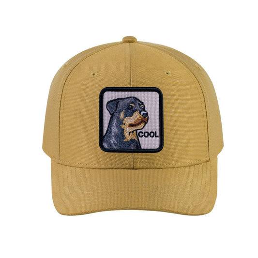 Dog V2 6-Panel Baseball Cap with Khaki front and Khaki back