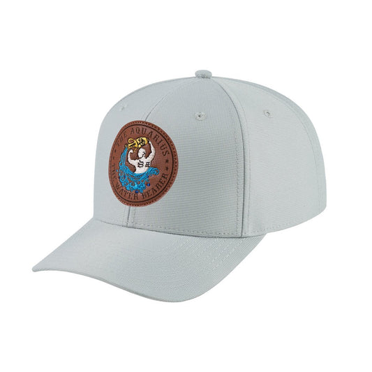 Aquarius Zodiac V2 6-Panel Baseball Cap with Light Grey front and Light Grey back