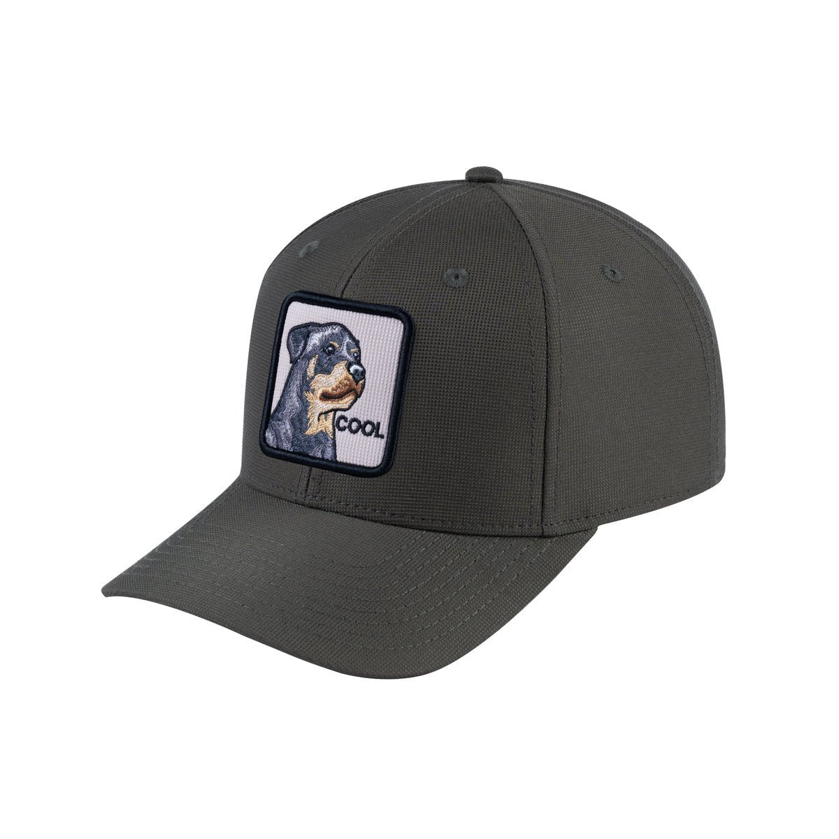 Dog V2 6-Panel Baseball Cap