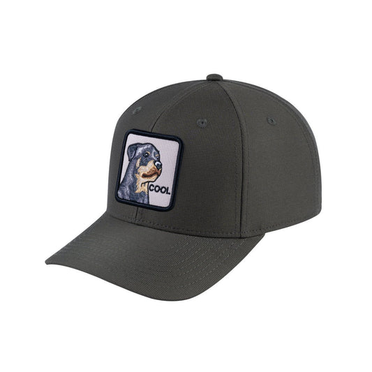 Dog V2 6-Panel Baseball Cap with Olive front and Olive back