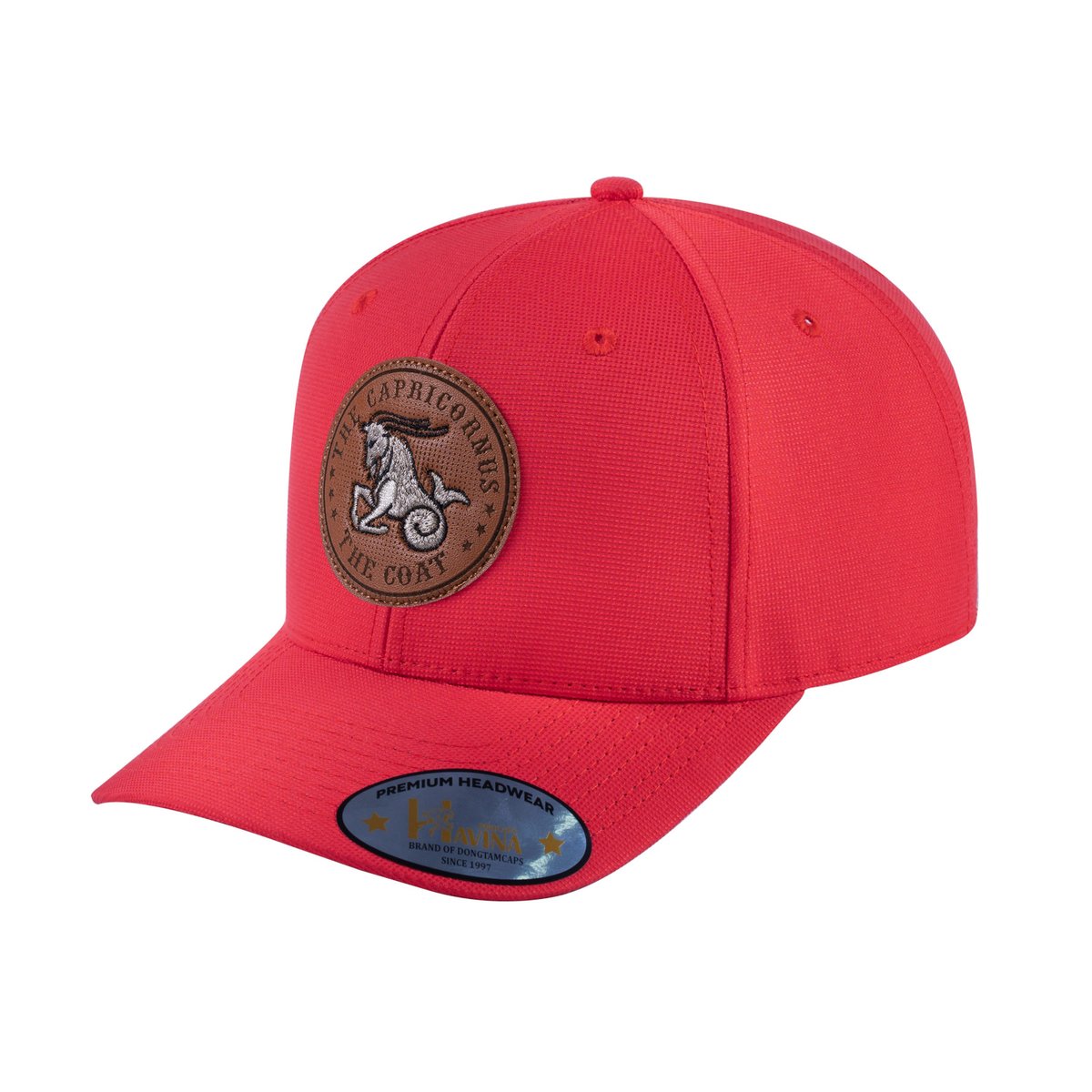 Capricorn Zodiac V2 6-Panel Baseball Cap