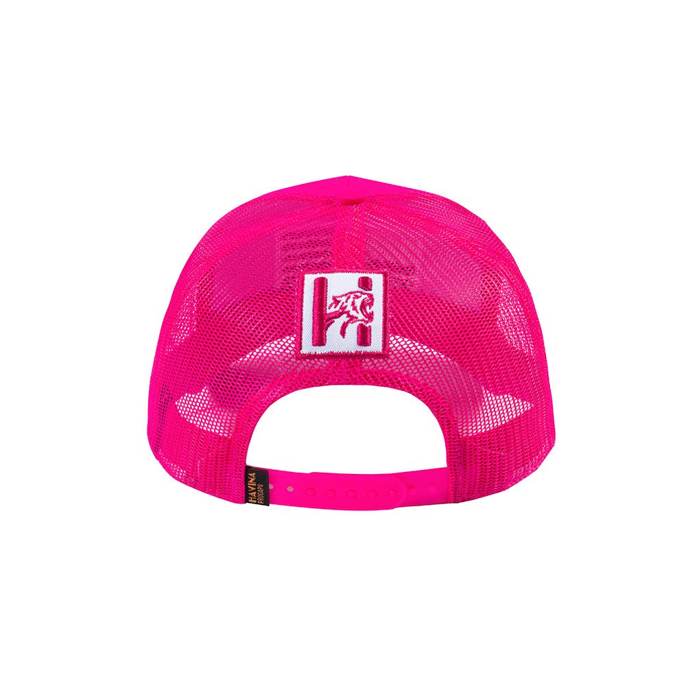 Unisex Embroidered The Us Flag, 6-Panel Trucker Hat, Pink/Pink, Classic, Adjustable Fit