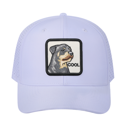 Cool 6-Panel Microfiber Laser Hole Trucker Hat with White front and White back